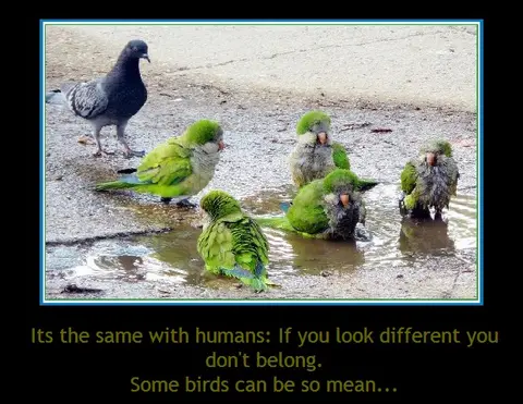Different Faces