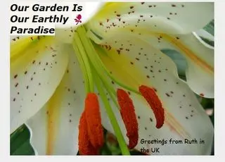 Gardens without walls